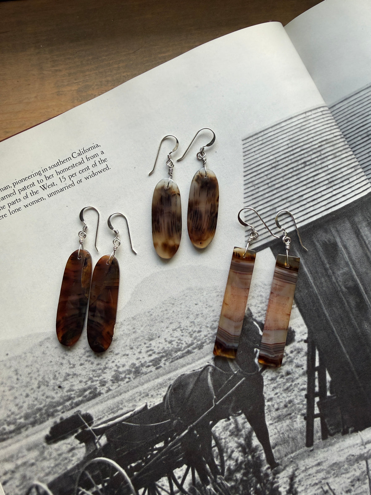 Yellowstone River Agate Slab Earrings